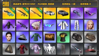 绝地求生（PUBG）编号CC15327 一段 滑雪镜 烟枪 武器神龛 发光手臂 小绿东 1级妖魔ACE aespa女团 Pigff套装 紫色魔法迷雾 - M79 布加迪威龙 布加迪普通跑车 1级权志龙AUG 星魂虎虎生威大礼包 1级夜曲M24 保时捷 保时捷卡宴 NINGNING GISELLE...