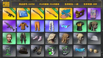 绝地求生（PUBG）[K4752]1段289级 信誉2 5级猪八戒+异色  3级烈日 1级夜曲 三图纸 黄东 金面 电磁包 