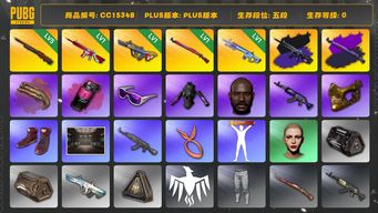 绝地求生（PUBG）CC15348 五段 黑鬼 金面 滑雪镜 渔夫帽 丸子头 女团大礼包 街头霸王套装 烟雾弹 烟枪 5级孙悟空M24 1级爆裂弹球AUG 1级无信号M416 1级午夜惊魂98K 1级魔咒MK12 发光手臂 无信号M4异色 午夜惊魂98K异色 品红色烟雾弹 深红狂怒之雾 - M79 星魂虎虎生威大礼包 无信号紫色配木炭色...