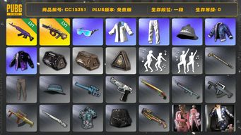 绝地求生（PUBG）CC15351 一段 1级美杜莎762 1级弥诺陶洛斯AUG 小叮当套装 aespa女团 星魂虎虎生威大礼包...
