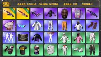 绝地求生（PUBG）CC15349 二段 黑鬼 滑雪镜 悲喜大礼包 3级无信号M416 拉风龙套装 6级美杜莎762 电磁包 白战神 发光手臂 星魂虎虎生威大礼包...