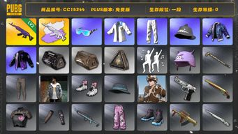 绝地求生（PUBG）CC15344 一段 2级美杜莎762 美杜莎762异色 小叮当套装 星魂虎虎生威大礼包 美杜莎灰色配紫色...