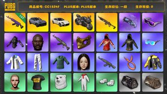 绝地求生（PUBG）CC15347 一段 黑鬼 金面 滑雪镜 丸子头 烟枪 杜卡迪 NewJeans女团 7级美杜莎762 发光手臂 小绿东 小叮当套装 杜卡迪纯净黑 紫色魔法迷雾 - M79 星魂虎虎生威大礼包 保时捷 保时捷帕拉梅拉 保时捷卡宴 MINJI...