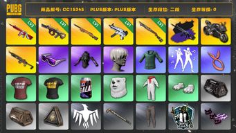 绝地求生（PUBG）CC15345 二段 滑雪镜 渔夫帽 尼尔大礼包 杜卡迪 3级无信号M416 1级无重力MP5K 1级弥诺陶洛斯AUG 发光手臂 无信号M4异色 小绿东 杜卡迪纯净黑 1级烈日灼烧S1897 1级夜曲M24 无信号紫色配木炭色 9S...