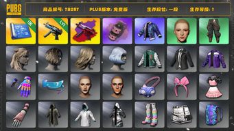 绝地求生（PUBG）[TB287]1段1级（免费版）1级寒蚀MP5K,寒蚀MP5K异色,烟雾弹,粉色烟雾弹,拉风龙套装,小叮当套装