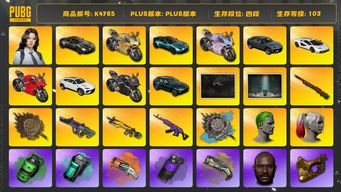 绝地求生（PUBG）[K4765]四段103级  信誉3  10级孙悟空  9级美杜莎  6级霓虹  2级小兔  3级唐三藏+异色  3级瀚娜  烟枪烟弹  3图纸  三兰博  杜卡迪  三马丁  丑男丑女  小战神  悲喜  小马尾  丸子头  黑鬼  李宰政  吴彦祖  马东锡  金面  渔夫帽  女团 hanni  女团haerin 女团 hyein