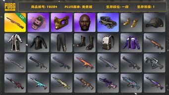 绝地求生（PUBG）[TB284]1段1级（免费版）1级夜曲M24,黑鬼,金面,烟雾弹,粉色烟雾弹