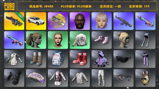 绝地求生（PUBG）aug霓虹7级 兰博基尼suv 女团角色 双马尾 烟枪 黑鬼 各种普通车皮 衣服 皮肤
