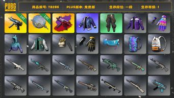 绝地求生（PUBG）[TB286]1段1级（免费版）1级寒蚀MP5K,1级塞壬平底锅,寒蚀MP5K异色,拉风龙套装,小叮当套装