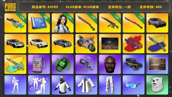 绝地求生（PUBG）[K4763]一段460级  信誉3  6级权志龙+异色  1级烈日+异色  1级妖魔+异色  1级午夜  烟枪烟弹  2图纸  三保时捷  布加迪  杜卡迪  白战神  小马尾  权志龙  黑鬼 
