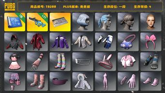 绝地求生（PUBG）[TB288]1段1级（免费版）1级权志龙AUG