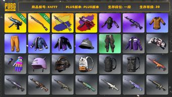 绝地求生（PUBG）[K4777]1段39级 信誉2 3级寒蚀+异色 2级烈日+异色 黄东 发光手 