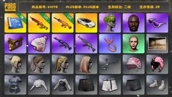 绝地求生（PUBG）[K4776]二段29级  信誉2  1级圣诞mini  1级南瓜  1图纸  迈凯伦  绿头  丸子头  黑鬼  滑雪镜  金面  女团jennie  女团  jisoo  女团rose