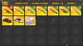 绝地求生（PUBG）美杜莎白异色，8成长型武器，满级圣诞AK  阿斯顿马丁和迈凯伦，各种极品服装等等，充了1400没出美杜莎原皮，外加赠送的8000GB也没出原皮，出号回血！生存四段两百多级，8年纯绿玩家！