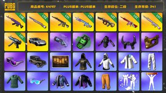 绝地求生（PUBG）[K4767]2段341级 信誉3 8级美杜莎 3级彩虹 1级妖魔 1级魔咒 1级弥诺陶洛斯 1级无信号 1级玩偶大炮 1级寒蚀 烟枪烟弹 保时捷911 白战神 绿东 萨芬裤 发光手 白熊脚 丸子头 小马尾 牛角 金面 滑雪镜