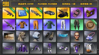绝地求生（PUBG）[K4769]1段86级 信誉2 5级美杜莎+异色 1级刻耳柏洛斯 烟弹 布加迪豪华款 黄东 绿东 金面