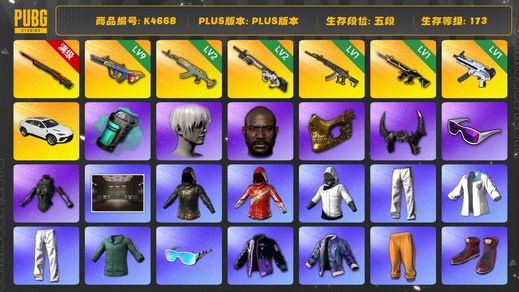 绝地求生（PUBG）[K4668]5段173级 信誉4 10级悟空 9级爆裂 2级水麒麟 2级赛博 1级妖魔 1级猪八戒 1级无重力 烟弹 兰博SUV 白战神 悲喜 拉风龙 绿东 发光手 白熊脚 尼尔9s 小马尾 丸子头 黑鬼 金面 牛角 滑雪镜