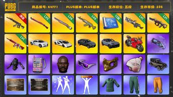 绝地求生（PUBG）[K4771]5段235级 信誉4 布加迪 双兰博 卡宴 杜卡迪 10级妖魔 5级午夜 4级彩虹 4级水麒麟 1级牛头 1级m249 1级无信号 烟枪 12图纸 白熊 小绿东 黑鬼 金面 滑雪镜 小马尾 丸子头 电磁包 