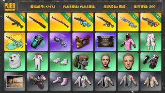 绝地求生（PUBG）[K4772]五段500级  信誉1  6级青龙  3级孙悟空  2级午夜  1级权志龙  1级妖魔+异色  1级魔咒  1级爆裂  烟枪烟弹  悲喜 丸子头  金面