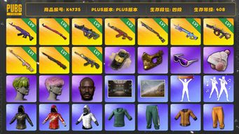 绝地求生（PUBG）[K4735]4段408级 信誉3 9级美杜莎 6级午夜 5级霓虹 3级AK 1级孙悟空 1级s1897 1级魔咒 1级牛头 1级德拉贡 1级恶魔 烟雾弹 小绿头 粉头 黑鬼 金面 滑雪镜 丸子头 小马尾 白熊 老鼠台夹克