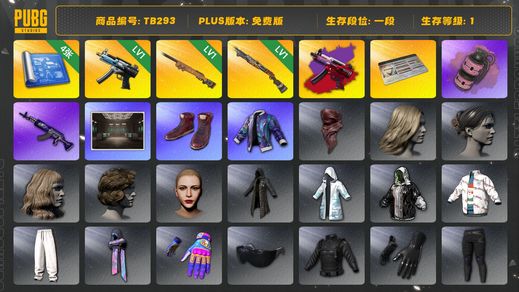 绝地求生（PUBG）[TB293]1段1级（免费版）1级夜曲M24,1级烈日灼烧S1897,1级寒蚀MP5K,寒蚀MP5K异色,烟雾弹,aespa女团,粉色烟雾弹,小叮当套装