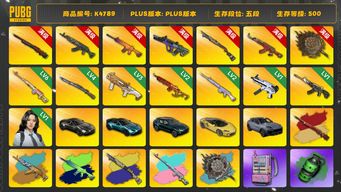 绝地求生（PUBG）[K4789]五段500级  信誉3  10级孙悟空+异色  10级青龙+异色  10级南瓜+异色  10级霓虹  6级烈日+异色  6级圣诞AK  6级德拉贡+异色  4级猛虎  3级dbs  2级圣诞mini  2级玩偶  1级无重力  1级恶魔  3级唐三藏+异色  烟枪烟弹  瀚娜  三马丁  迈凯伦  卡宴  白战神  小战神  悲喜  绿东  丑男丑女  小绿头  粉头  小马尾  丸