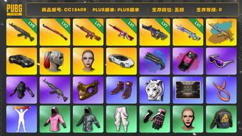 绝地求生（PUBG）CC15409 五段 9级青龙762 1级朱雀M4 1级霓虹AUG 迈凯伦 阿斯顿马丁 小丑女 金面 滑雪镜 渔夫帽 丸子头 烟雾弹 烟枪 悲喜大礼包 白虎包 西游记套装 1级无信号M416 2级午夜惊魂98K 1级魔咒MK12 发光手臂 青龙762异色 小叮当套装 小战神 品红色烟雾弹 湛蓝狂怒之雾 - M79 马丁普通跑车 白色迈凯伦 Pigff套装...