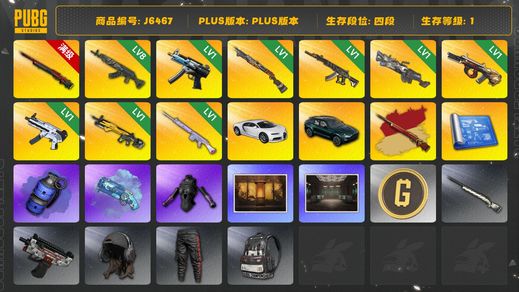 绝地求生（PUBG）8级青龙762,1级玩偶大炮,1级小兔MK12,1级妖魔ACE,10级孙悟空M24,1级弥诺陶洛斯AUG,1级烈日灼烧S1897,1级寒蚀MP5K,1级刻耳柏洛斯M249,1级无重力MP5K,布加迪普通跑车,阿斯顿马丁,布加迪威龙,马丁SUV,孙悟空M24异色,蓝色烟雾弹,烟雾弹,蓝色魔法迷雾 - M79,发光手臂,烟枪,武器神龛