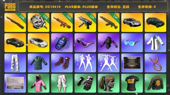 绝地求生（PUBG）CC15410 五段 1级青龙762 2级朱雀M4 3级白虎锅 迈凯伦 阿斯顿马丁 滑雪镜 小马尾 烟雾弹 5级孙悟空M24 冬季藏匿处 发光手臂 小绿东 蓝色烟雾弹 马丁普通跑车 马丁SUV 白色迈凯伦 星魂虎虎生威大礼包 1级寒蚀MP5K 保时捷 保时捷911...
