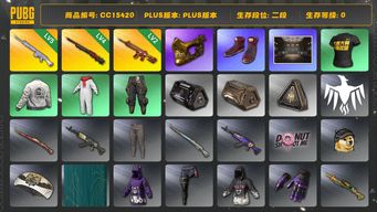 绝地求生（PUBG）CC15420 二段 2级朱雀M4 5级玩偶大炮 金面 4级孙悟空M24 西游记套装 拉风龙套装...