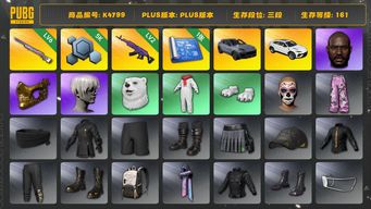 绝地求生（PUBG）[K4799]3段161级 信誉2 6级彩虹 2级美杜莎 卡宴 兰博suv 黑鬼 金面 9s 白熊