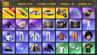 绝地求生（PUBG）[K4797]1段244级 信誉3 10级孙悟空 4级美杜莎 烟枪烟弹 布加迪 帕拉梅拉 杜卡迪 白战神 黄东 发光手 白熊脚 女团WINTER 滑雪镜