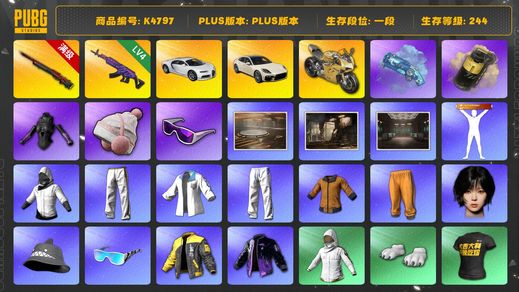 绝地求生（PUBG）[K4797]1段244级 信誉3 10级孙悟空 4级美杜莎 烟枪烟弹 布加迪 帕拉梅拉 杜卡迪 白战神 黄东 发光手 白熊脚 女团WINTER 滑雪镜