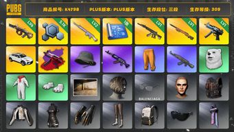 绝地求生（PUBG）[K4798]3段309级 信誉1 兰博 6级牛头 2级玩偶 1级妖魔 1级夜曲 1级寒蚀+异色 一张图纸 5.1K聚合物 渔夫帽 白熊脚