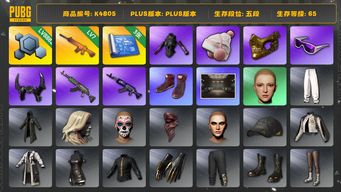 绝地求生（PUBG）[K4805]5段65级  信誉1  7级南瓜  3图  发光手  金面 滑雪镜  滑雪帽5段65级  信誉1  7级南瓜  3图  发光手  金面 滑雪镜  滑雪帽