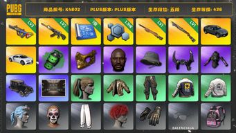 绝地求生（PUBG）[K4802]5段436级 信誉1 3级爆裂 2级恶魔 1级夜曲 1级s1897 烟雾弹 兰博suv 布加迪 黑鬼 金面 渔夫帽 牛角 小马尾 发光手 