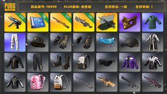 绝地求生（PUBG）[TB309]1段1级（免费版）1级夜曲M24,1级刻耳柏洛斯M249,2级寒蚀MP5K,时空使者M4异色,金面,拉风龙套装,小绿东,小叮当套装,星魂虎虎生威大礼包