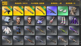 绝地求生（PUBG）[TB310]1段1级（免费版）1级夜曲M24,1级烈日灼烧S1897,2级寒蚀MP5K,1级幽影残魂AWM,aespa女团