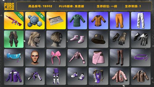绝地求生（PUBG）[TB302]1段1级（免费版）2级无信号M416,拉风龙套装,黄东,小绿东,小叮当套装,星魂虎虎生威大礼包