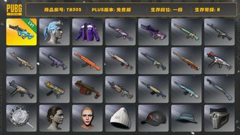绝地求生（PUBG）[TB305]1段8级（免费版）1级权志龙AUG