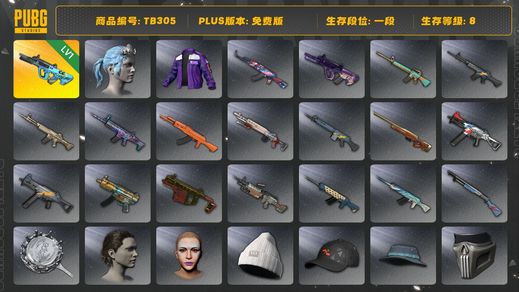 绝地求生（PUBG）[TB305]1段8级（免费版）1级权志龙AUG