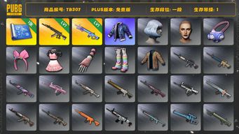 绝地求生（PUBG）[TB307]1段1级（免费版）1级魔咒MK12,1级妖魔ACE