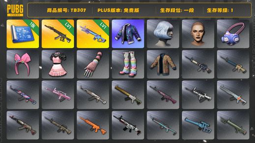 绝地求生（PUBG）[TB307]1段1级（免费版）1级魔咒MK12,1级妖魔ACE