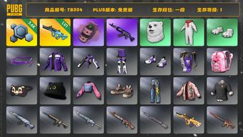 绝地求生（PUBG）[TB304]1段1级（免费版）1级权志龙AUG,烟雾弹,粉色烟雾弹