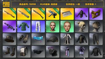 绝地求生（PUBG）[TB308]1段1级（免费版）1级夜曲M24,1级幽影残魂AWM,1级寒蚀MP5K,1级烈日灼烧S1897,金面,发光手臂,小绿东,星魂虎虎生威大礼包,拉风龙套装,小叮当套装,丸子头