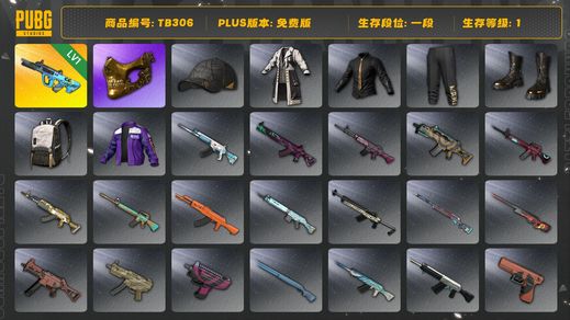 绝地求生（PUBG）[TB306]1段1级（免费版）1级权志龙AUG,金面