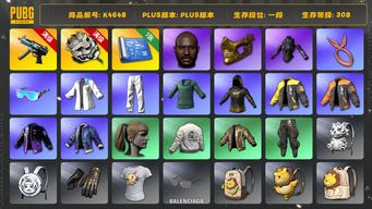 绝地求生（PUBG）[K4648]1段308级 信誉3 6级寒蚀 3级白虎锅 绿东 拉风龙 发光手 小马尾 黑鬼 金面