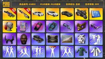绝地求生（PUBG）[K4822]5段500级 信誉4 10级霓虹 10级赛博  烟弹烟枪 兰博suv 马丁跑车 杜卡迪 布加迪 丑女 黑鬼 金面 牛角 滑雪镜 