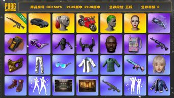 绝地求生（PUBG）CC15474 五段 小丑女 小丑男 黑鬼 金面 滑雪镜 渔夫帽 丸子头 小马尾 街头霸王套装 烟雾弹 烟枪 杜卡迪 西游记套装 NewJeans女团 兰博基尼 牛角 电磁包 冬季藏匿处 武器神龛 发光手臂 萨芬裤 小绿东 10级妖魔ACE 橘色烟雾弹 杜卡迪红 兰博奢华SUV aespa女团 Pigff套装 紫色魔法迷雾 - M79 星魂虎虎生威大礼包 DANIELLE KARINA...