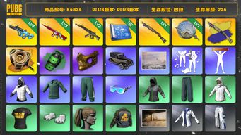 绝地求生（PUBG）[K4824]四段224级  信誉4  4级权志龙  3级无信号  2级妖魔  1级烈日+异色  1级塞壬  虚空锅异色  1图纸  烟弹  白战神  绿东  萨芬裤  小马尾  金面